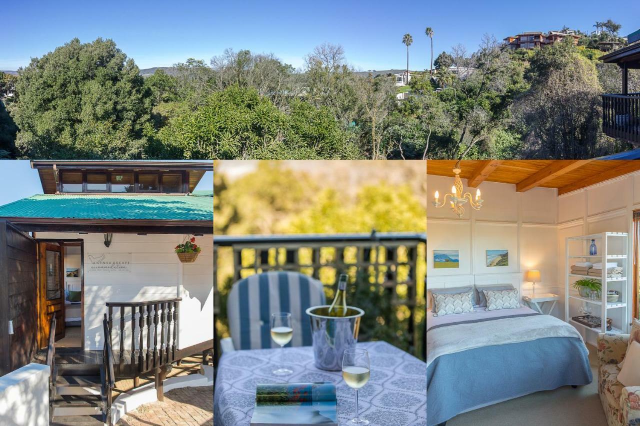 Knysna Escape Accommodation Eksteriør billede